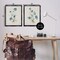 Stupell Industries Blue Botanical Herbs 2pc Floating Frame Set Design by Susan Jill